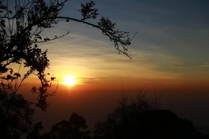 Praveen'S Wood House Kodaikanal Vattakanal Zewnętrze zdjęcie