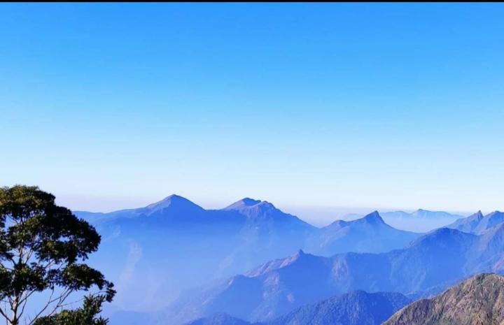 Praveen'S Wood House Kodaikanal Vattakanal Zewnętrze zdjęcie